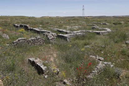 Yacimiento arqueológico de Lancia