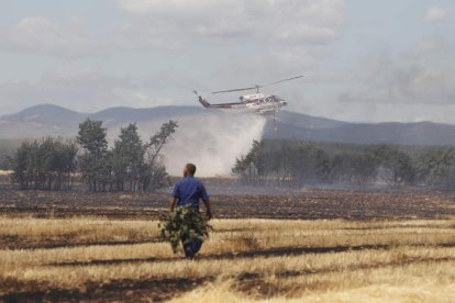 Temen que el fin de las lluvias y la llegada de las altas temperaturas disparen los incendios.