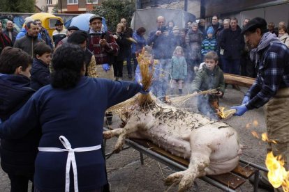 Los dos goches serán cocinados y degustados hoy. CAMPOS