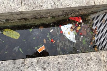 basura en uno de los sumideros de agua en el paseo. DL