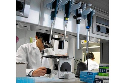 Un investigador en una empresa biotecnológica de Salamanca.