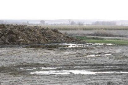 El estiércol de los establos o los cultivos ocupan la zona arqueológica de Los Villares