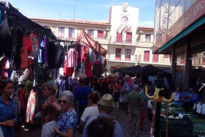 Imagen del mercado que cada jueves se instala en la plaza Mayor de Valencia de Don Juan. DL