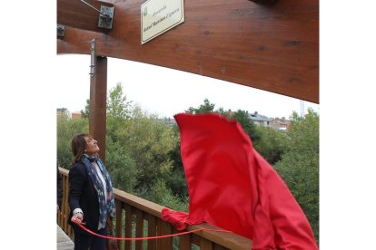 La hija del fallecido descubrió la placa en la pasarela.