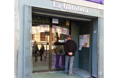 La Gatoteca, un local para compartir con gatos en el madrileño barrio de Lavapiés.