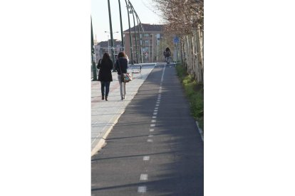 Carril bici ubicado en el campus de Vegazana.