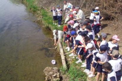 El circuito sensorial fue visitado por casi cien niños.