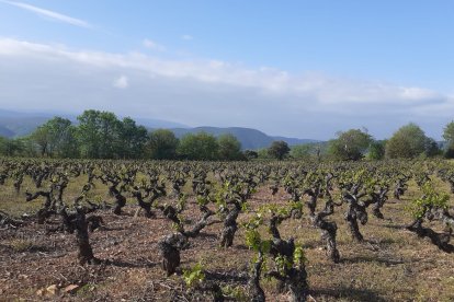 El Paraje de los Fornos, en Otero, se vería afectado por el proyecto. DL