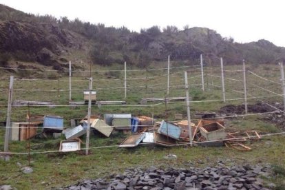 Estado de las colmenas tras el último ataque en Peranzanes