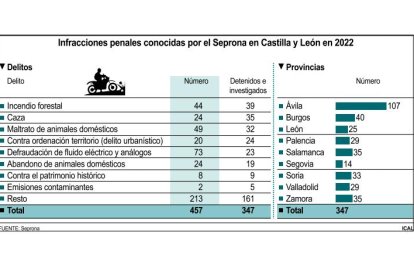 Infracciones penales