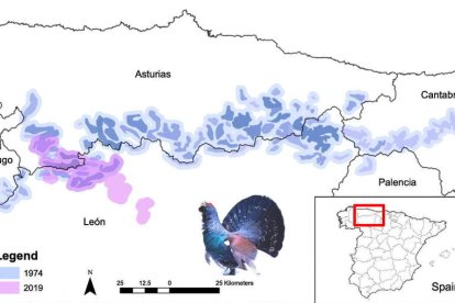 Mapa en el que se comprueba cómo se ha reducido el hábitat del urogallo cantábrico. IREC