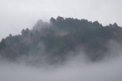 Niebla en la provincia de León. JESÚS