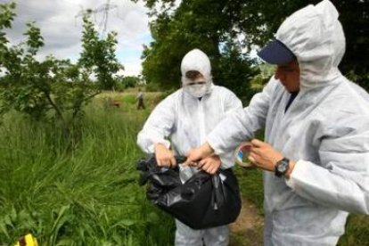 Las alertas de plagas llegarán ahora también por Internet