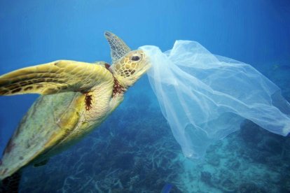 La presencia de plássticos en los oceános es una de las grandes amenazas que afectan a la salud de estos ecosistemas.