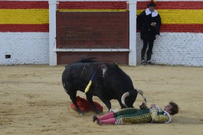 Uno de los caballos resultó herido en una pata. ACACIO