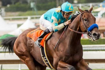 El purasangre American Pharoah.