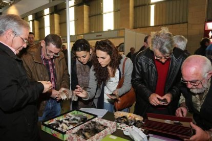 El polideportivo de La Vecilla será el picentro de una feria que se alargará hasta el domingo.