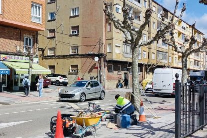 Obras en un paso de peatones de la ciudad de León. AYUNTAMIENTO DE LEÓN