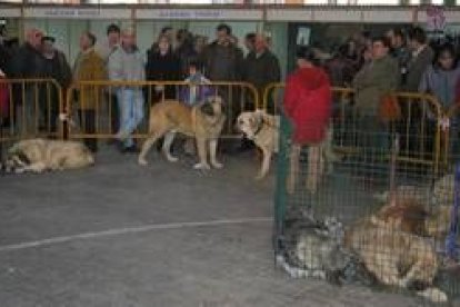 Los jubilados del hogar de Matallana de Torío durante una de sus actividades