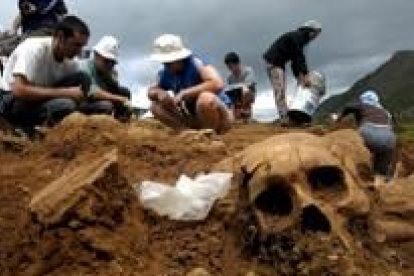 Imagen de una de las calaveras halladas por los voluntarios en la fosa de Piedrafita de Babia