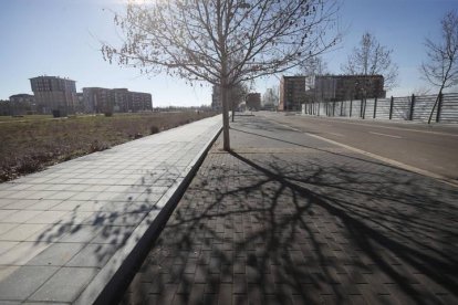 Parcelas en la capital leonesa, en La Lastra.