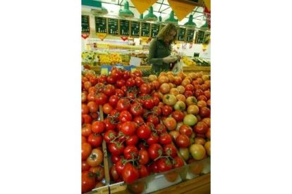 Los precios de los tomates se han recortado en noviembre en un 16,8%