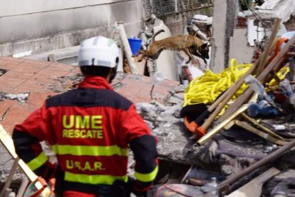 La UME logró rescatar el cuerpo del español Jorge Gómez el viernes por la mañana (hora de México), después de once días de trabajos en el edificio del 289 de la calle Álvaro Obregón, en la colonia Roma.