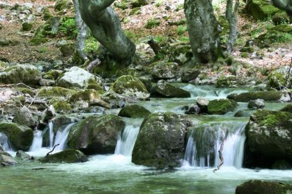 Un paraje del Faedo, en la Reserva del Alto Bernesga.