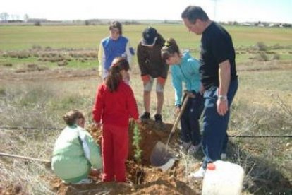 Un momento de la celebración del Día del Árbol por alumnos del CRA de El Burgo Ranero