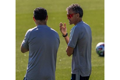 Luis Enrique conversa con un asistente. RODRIGO JIMÉNEZ