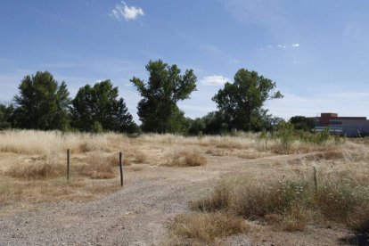 El sector supera los 432.000 metros cuadrados de terreno entre la ronda Este, el parque de La Granja y la ronda Este. RAMIRO