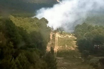 El rayo cayó en un pinar y se propagó por el monte de Felechales. DL