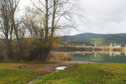 Senda en los alrededores del Lago de Carucedo. DL