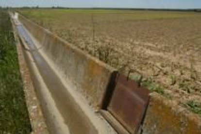 Los campos leoneses pueden mostrar este triste aspecto en septiembre si no acaba la pertinaz sequía