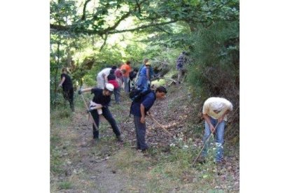 Voluntarios de Promonumenta limpiando un canal romano de La Cabrera