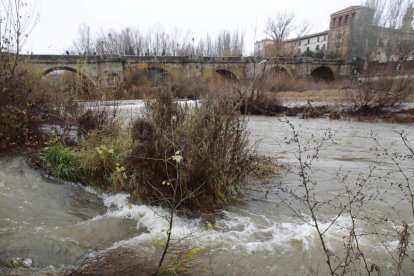 Cauce del Bernesga en León. RAMIRO