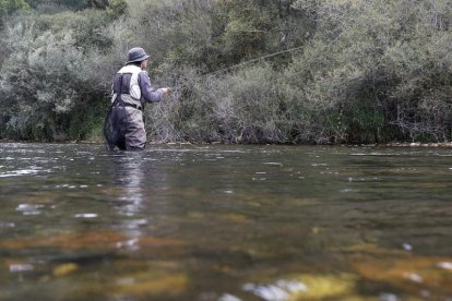 Los ríos leoneses siguen ofreciendo un escenario notable para la actividad de la pesca. FERNANDO OTERO