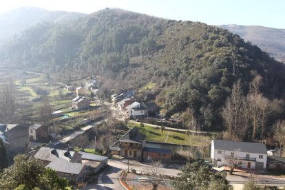 El pueblo de Friera (Sobrado) pretende explotar su riqueza forestal.