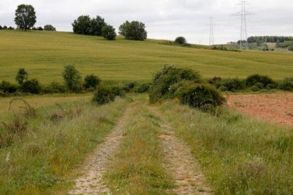 Inmediaciones del paraje de Villavente en el que apareció el cadáver. FERNANDO OTERO