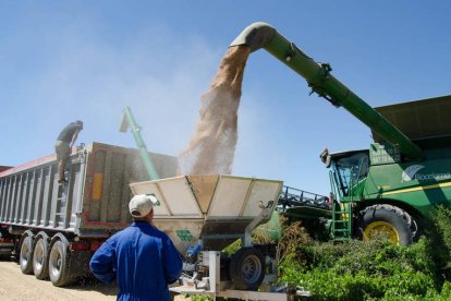 La agroindustria es uno de los principales sectores con problemas para encontrar profesionales. DL