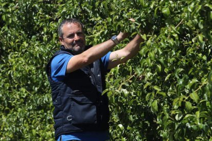 José Ángel Bodelón, ayer en una finca de frutales. ANA F- BARREDO