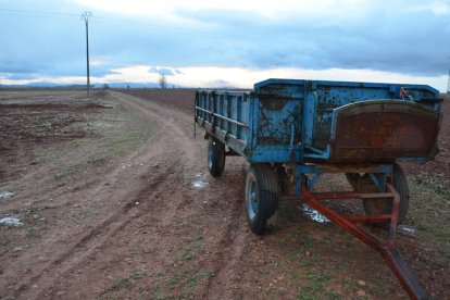 Un camino actual entre fincas de la localidad de Laguna de Negrillos. MEDINA