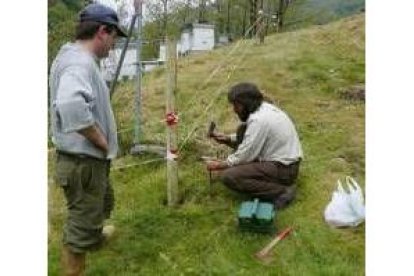 Operarios de FOP colocan varios cercados eléctricos