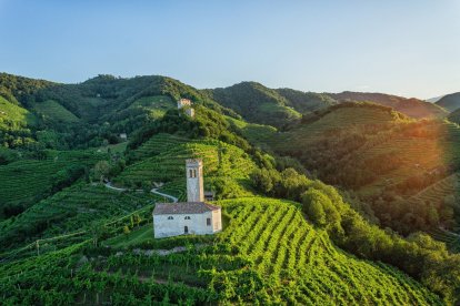 Las colinas del prosecco, una joya natural que ya es patrimonio de la Unesco