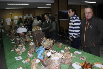 La exposición de setas contó con duendes y troncos de árboles con decoración.