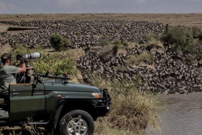 Cientos de ñus salen del agua tras cruzar el río en el Parque Nacional de Masái Mara el 7 de agosto. PATRICIA MARTÍNEZ