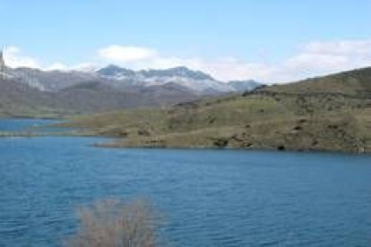 Los pastizales que bordean el embalse del Porma serán aprovechados por los ganaderos de Boñar