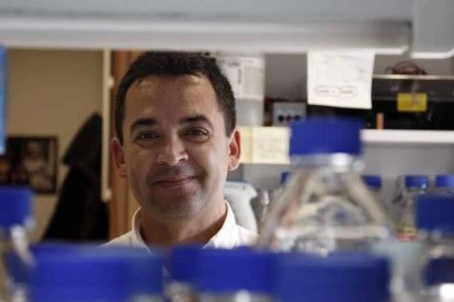 El investigador del Centro del Cáncer de Salamanca, Isidro Sánchez García.