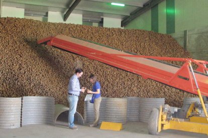 Julio Martín y Anne Ponce de León, en uno de los almacenes de Prodeleco en Riego de la Vega