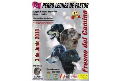 Cartel de la prueba oficial de perros careas.